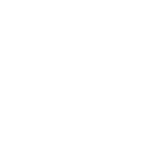 LIVEig Logo