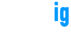 LIVEig Logo